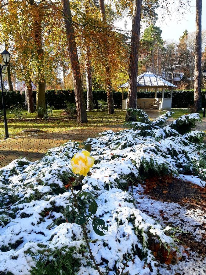 Wooden Villa Apartments Jūrkalne Dış mekan fotoğraf